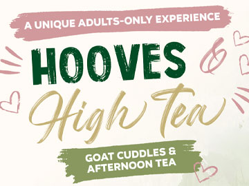 Hooves & High Tea