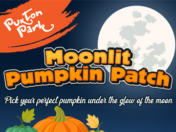 Moonlit Pumpkin Patch