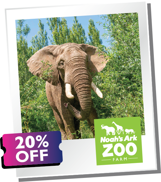 Noah's Ark Zoo Farm